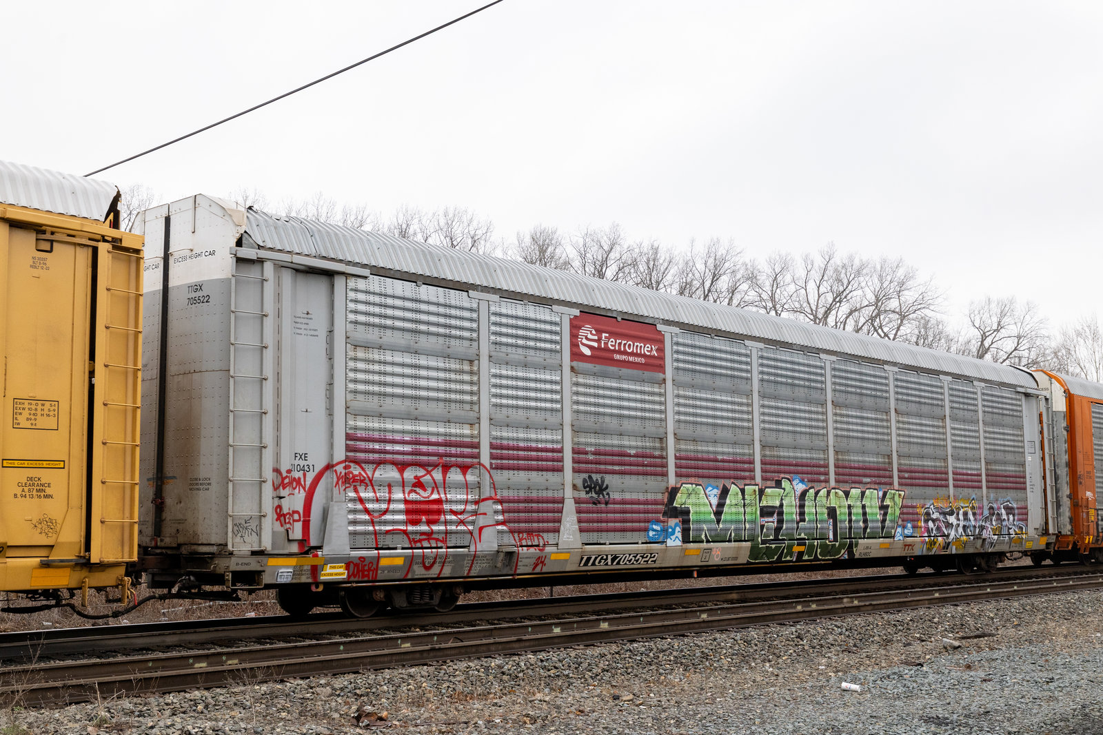 TTGX 705522