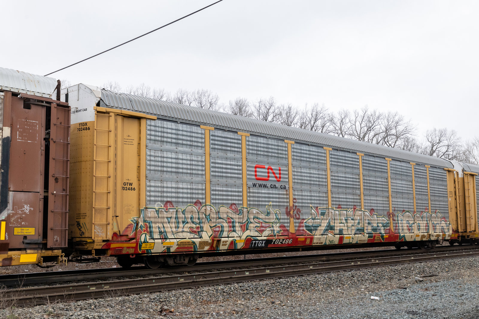 TTGX 702486