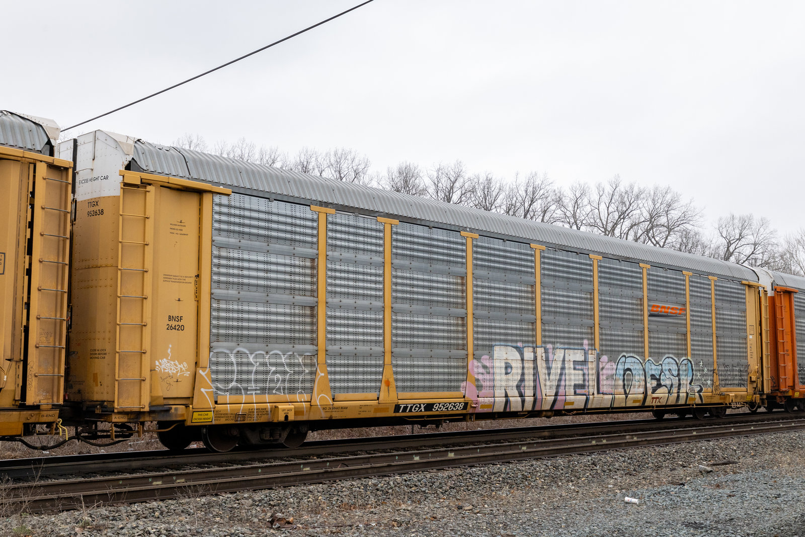 TTGX 952638