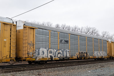 TTGX 704421
