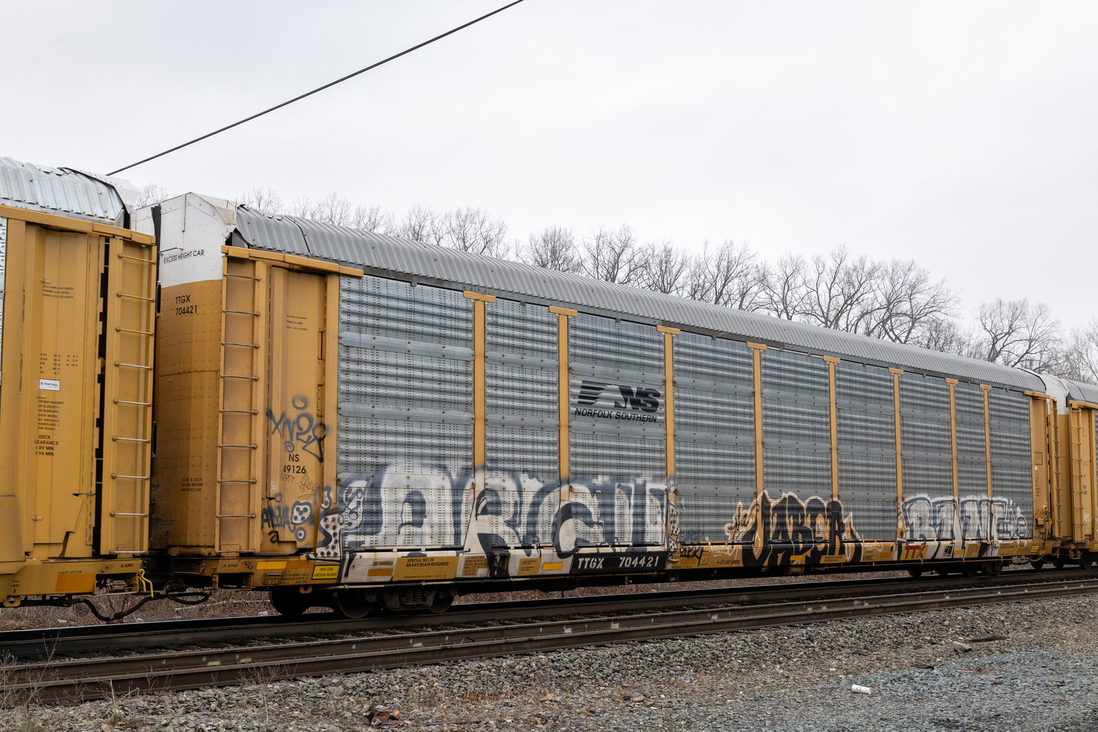 TTGX 704421
