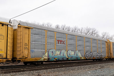 TTGX 710857
