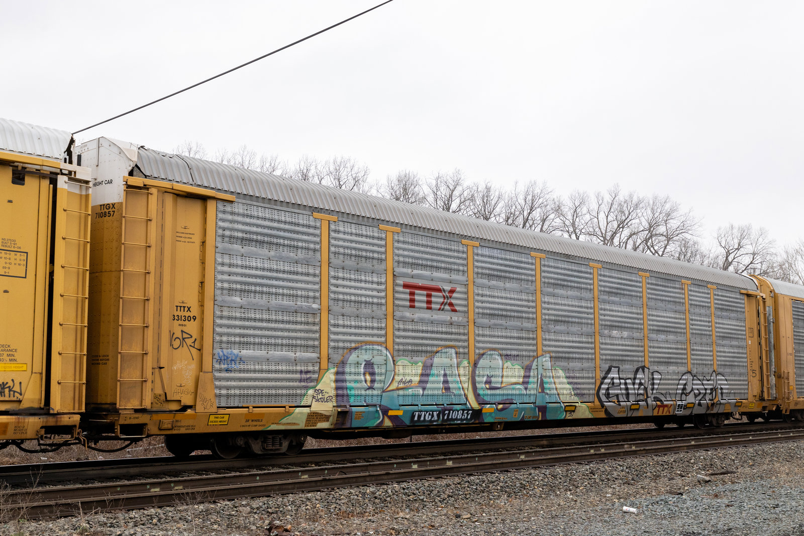TTGX 710857