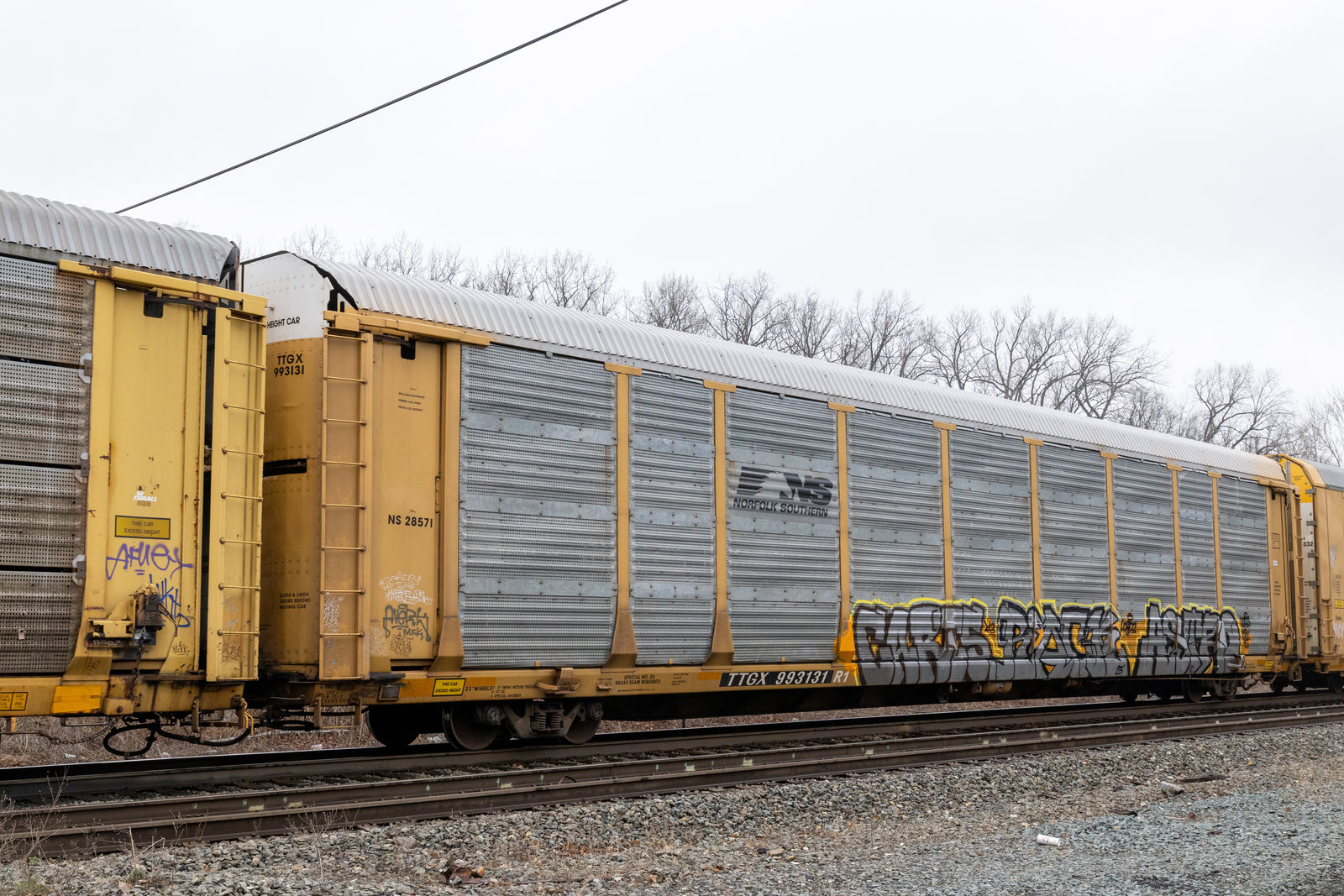 TTGX 993131