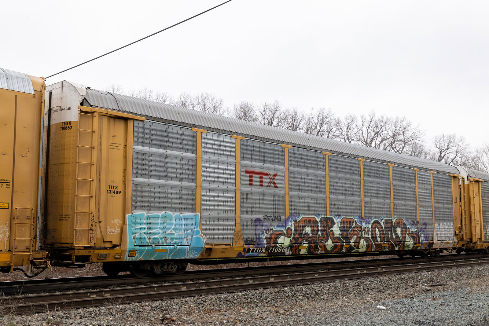 TTGX 710662