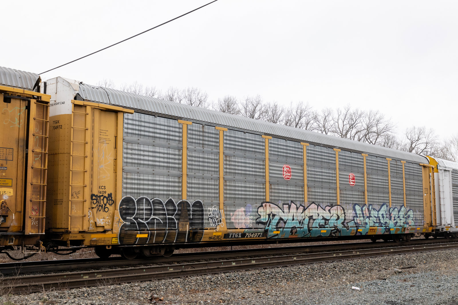 TTGX 704972