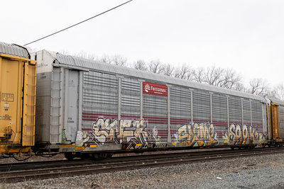 TTGX 705529