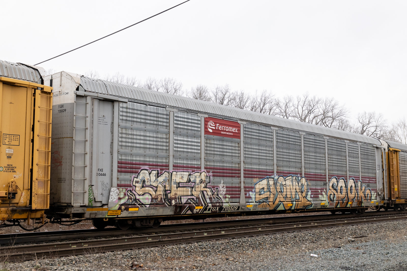 TTGX 705529