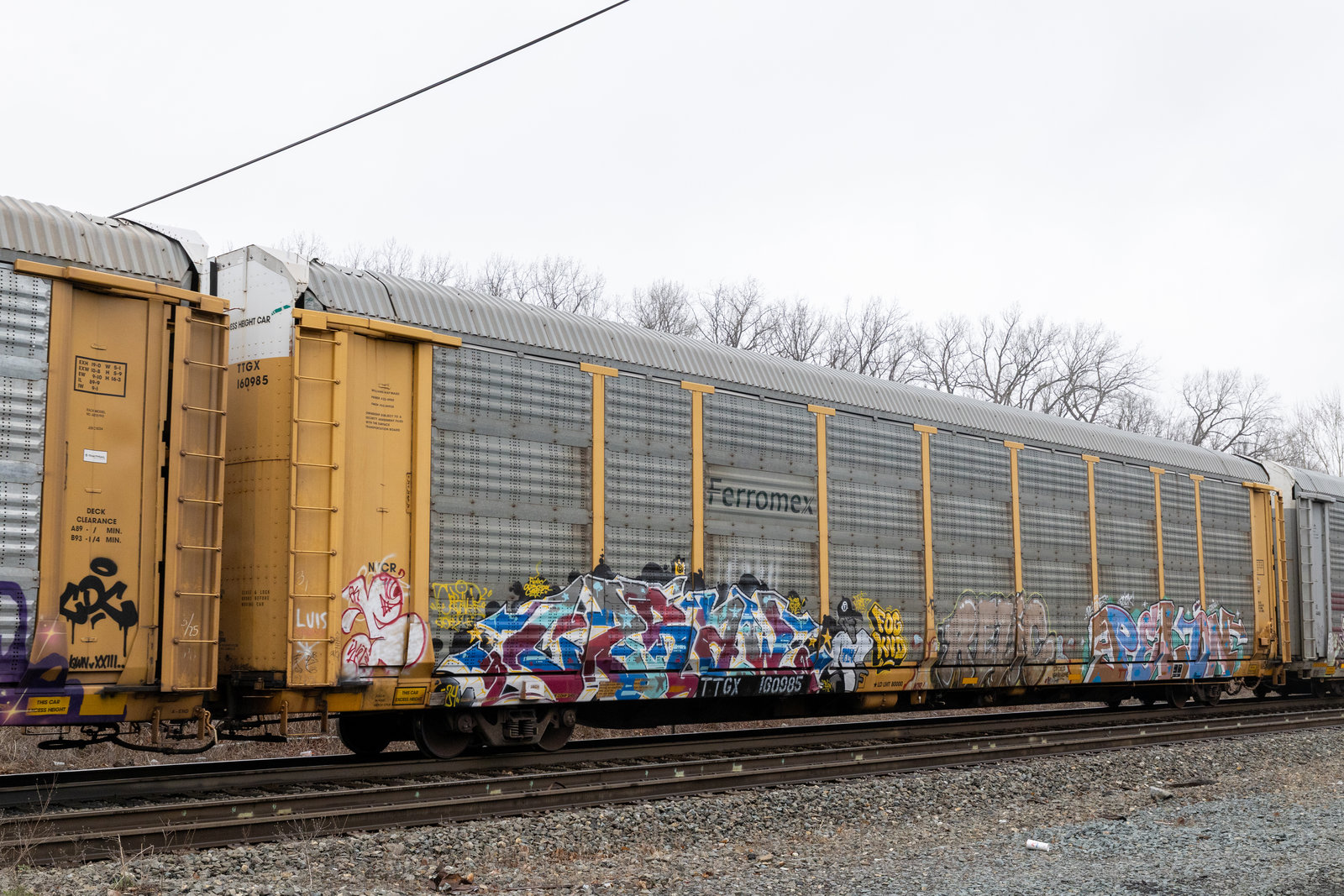 TTGX 160985