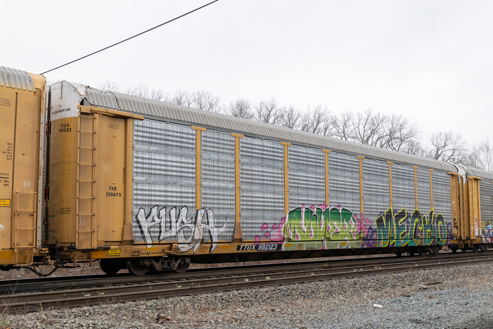 TTGX 992123
