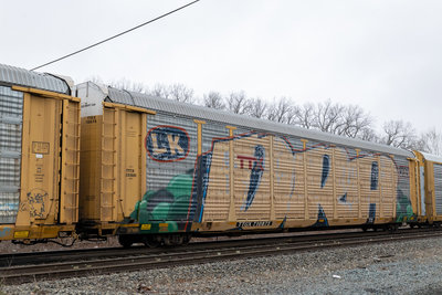 TTGX 710875
