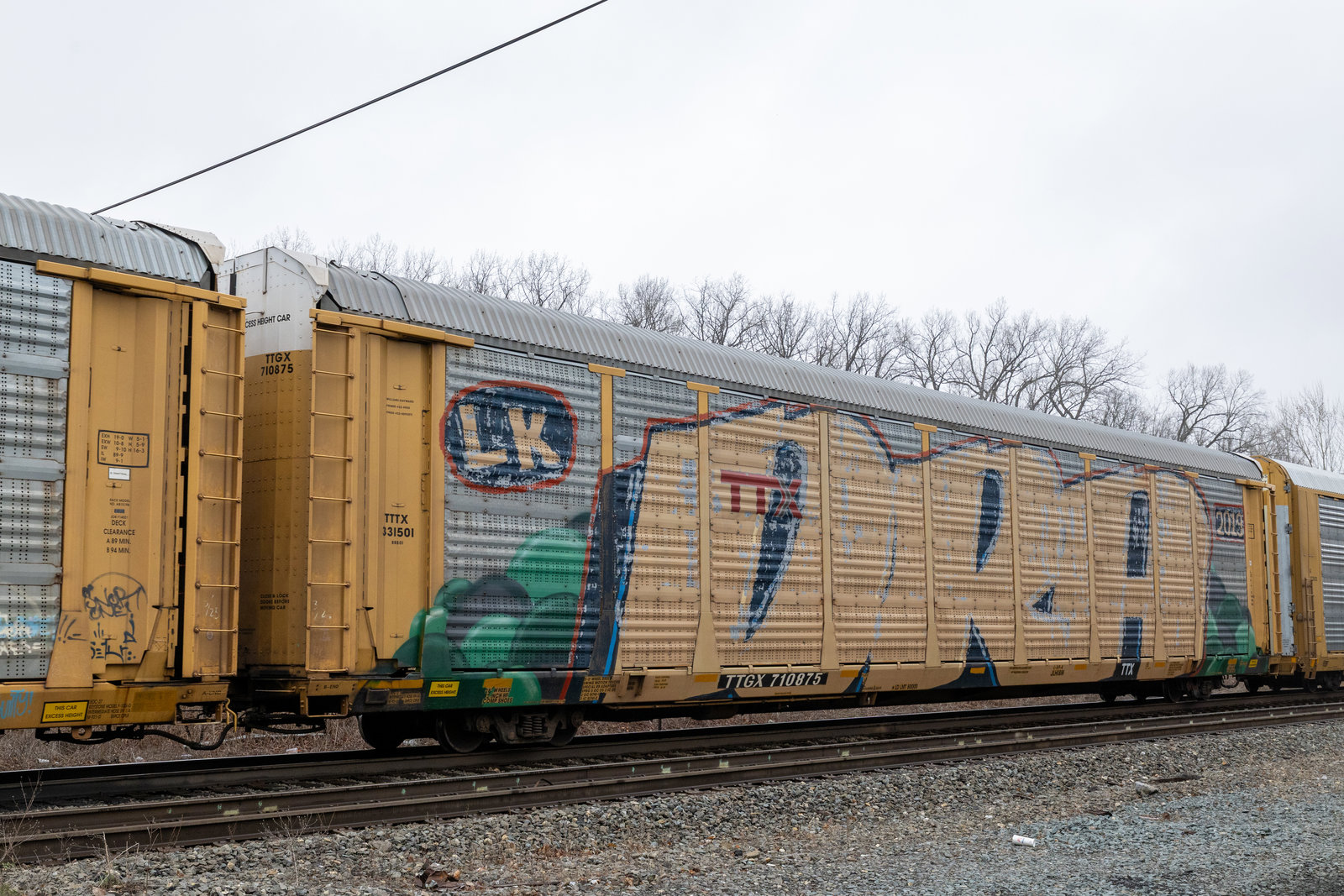 TTGX 710875