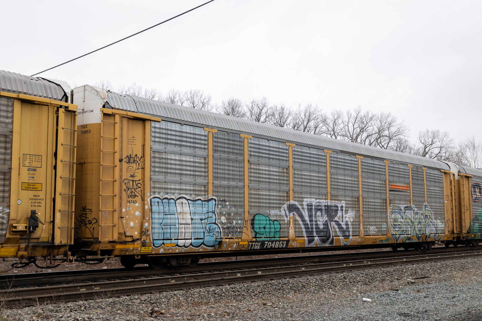TTGX 704853