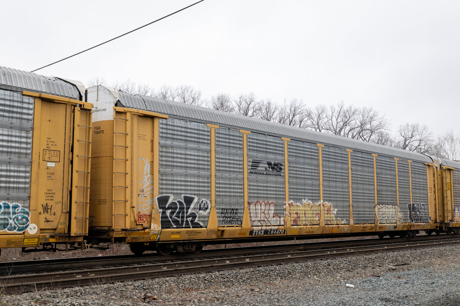 TTGX 704470