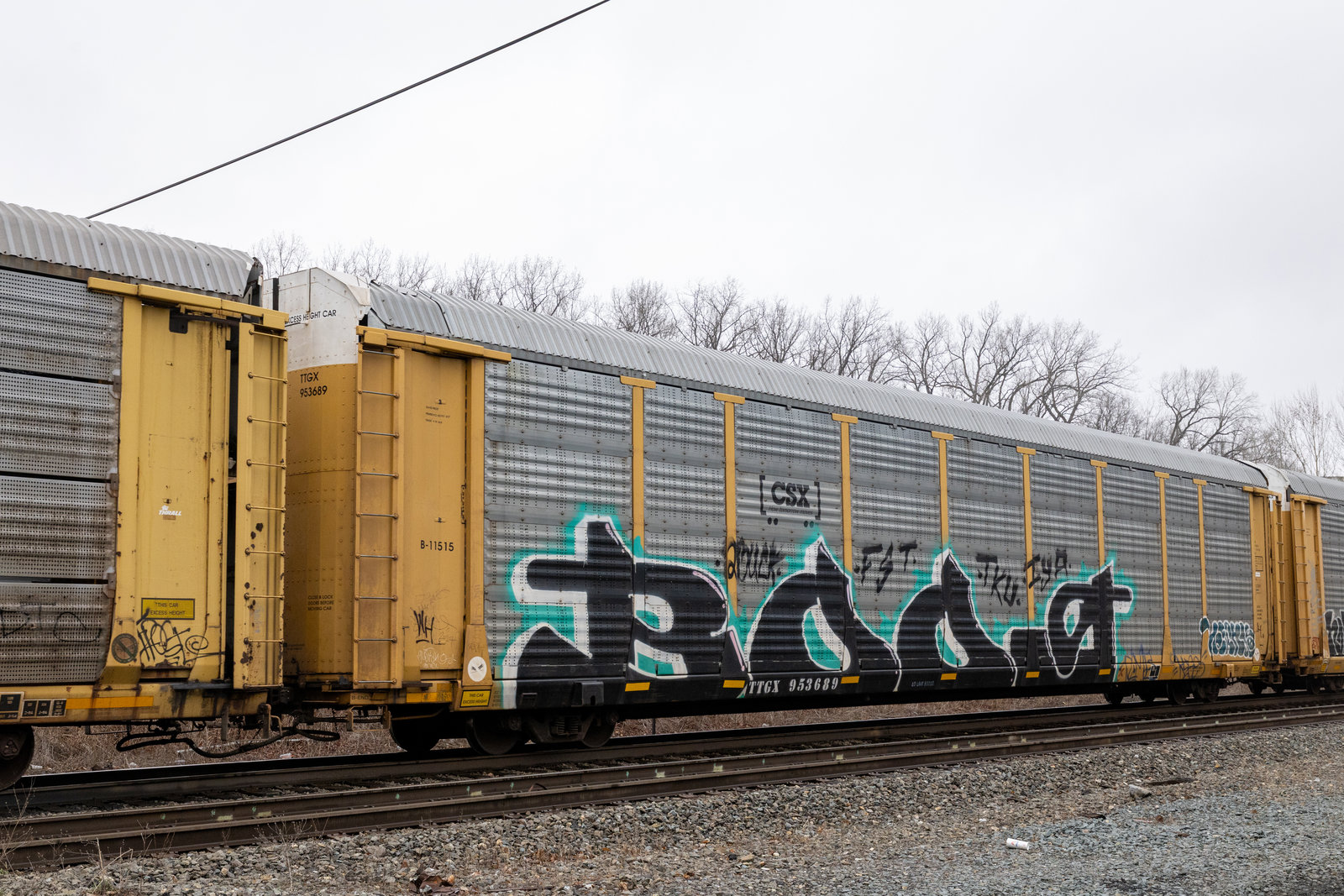 TTGX 953689
