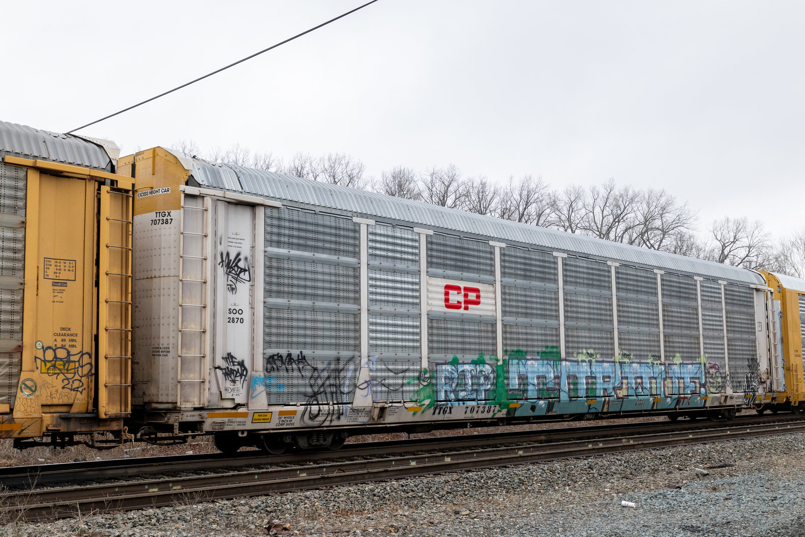 TTGX 707387