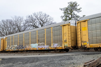 TTGX 987113