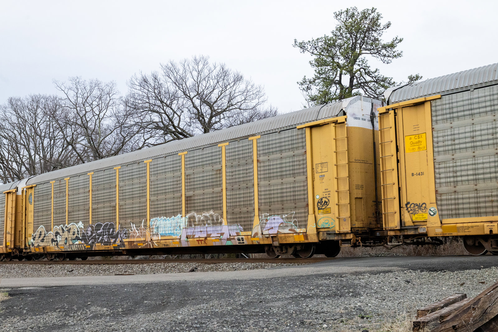 TTGX 987113