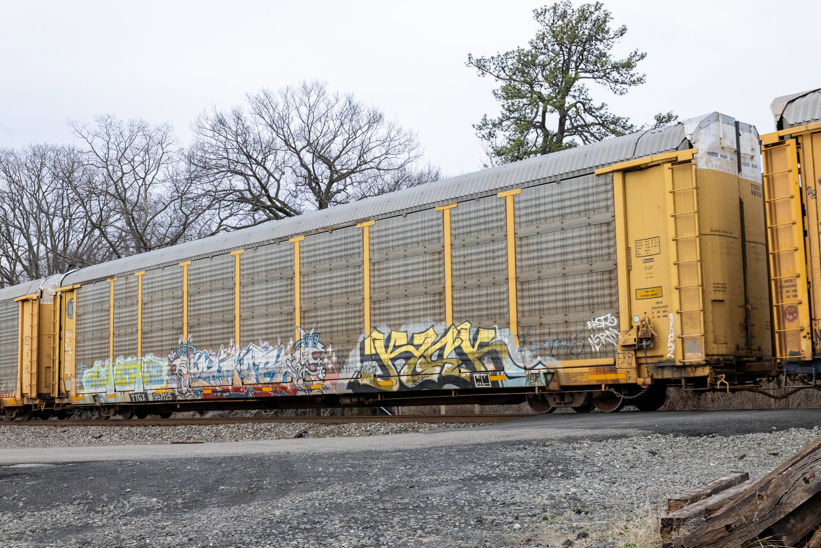 TTGX 987125