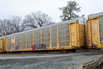 TTGX 995496