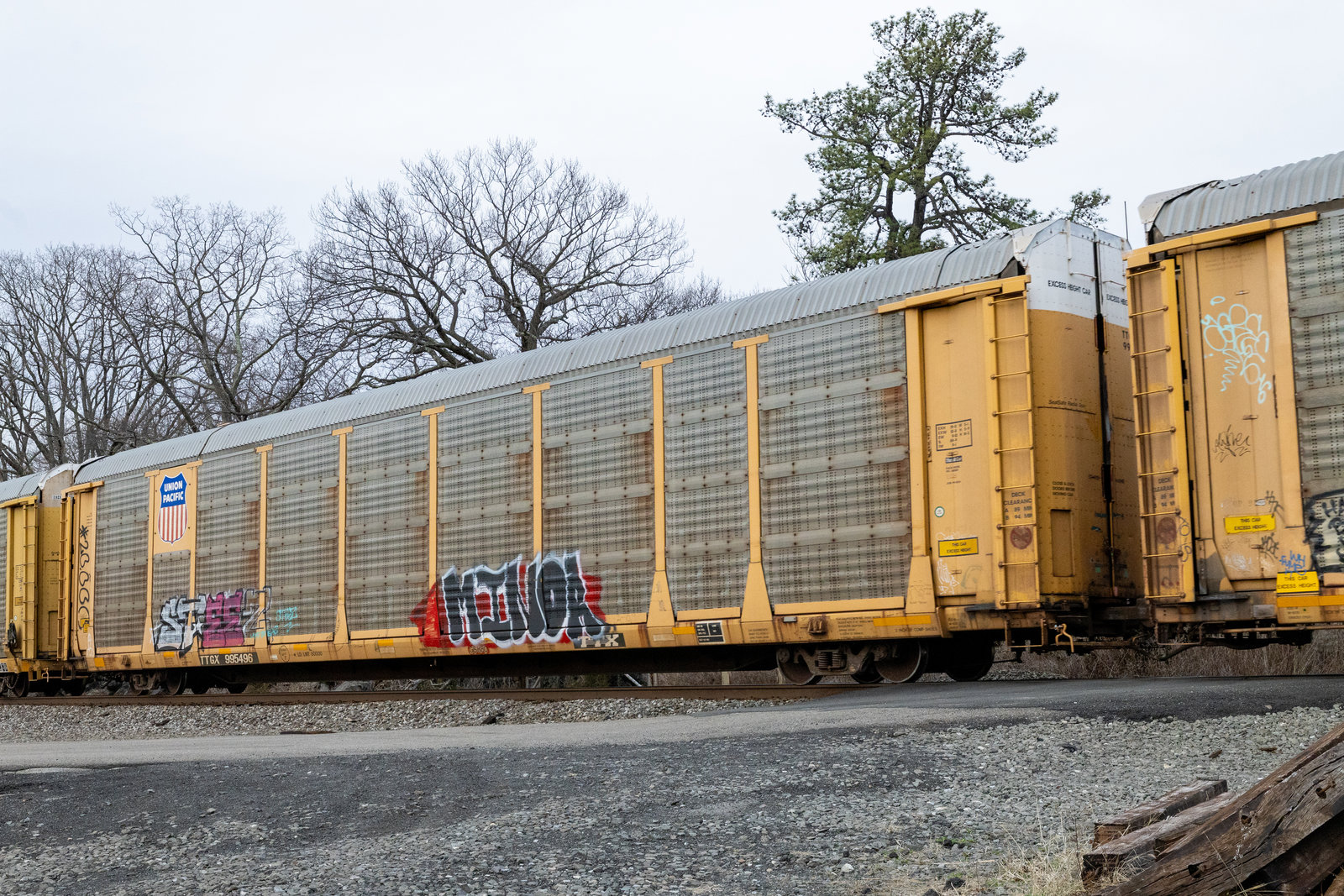 TTGX 995496