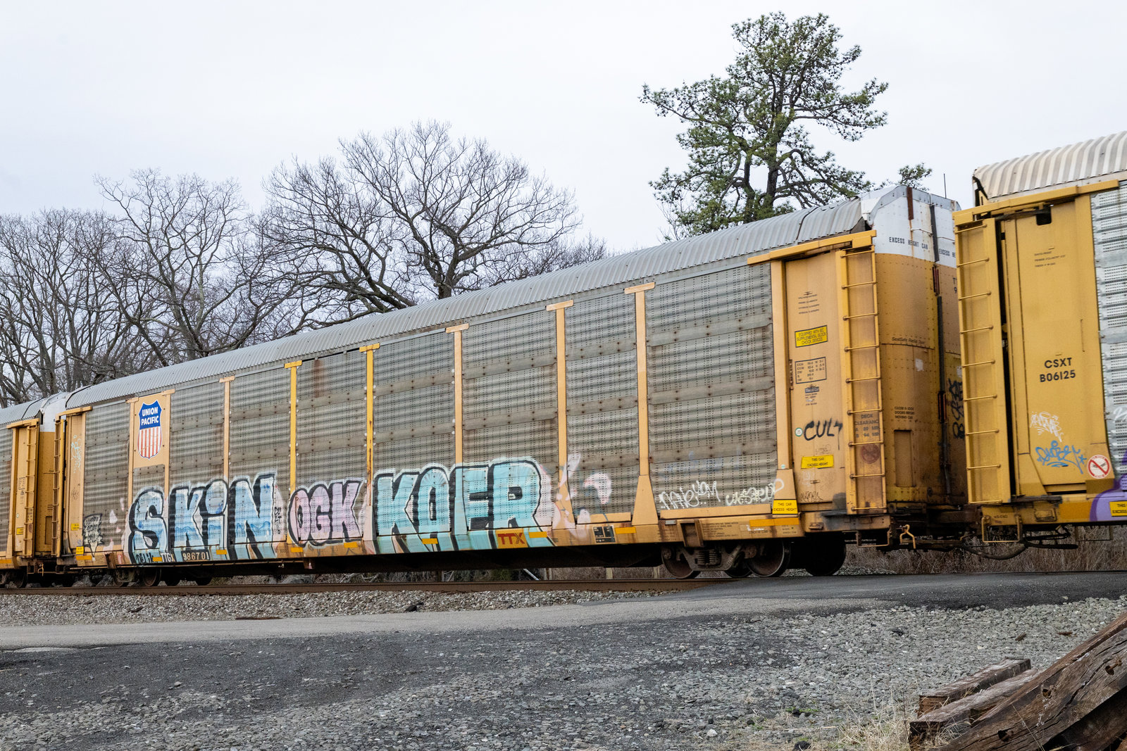 TTGX 986701