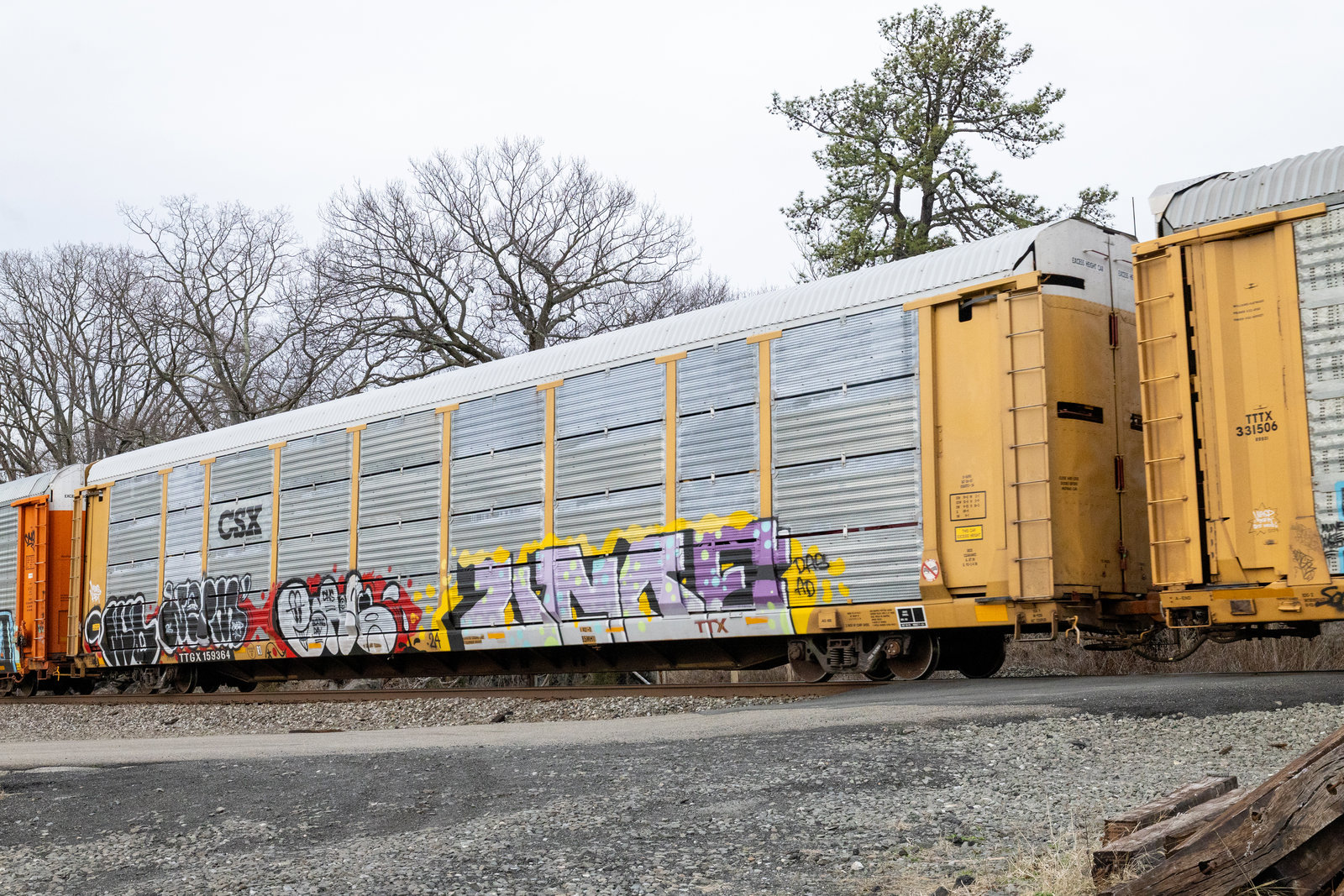 TTGX 159364