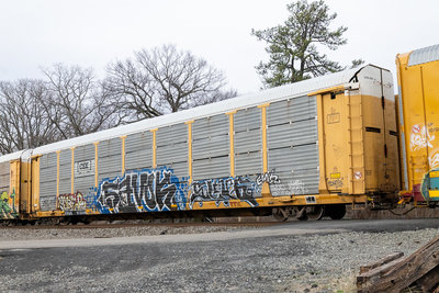 TTGX 973598