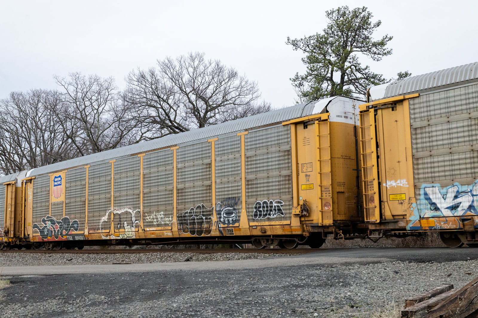 TTGX 994061