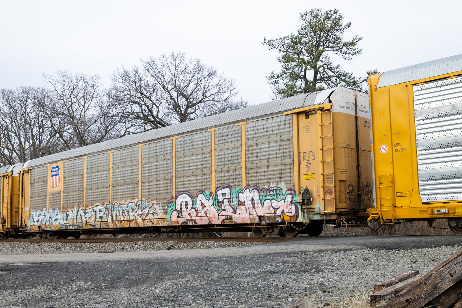 TTGX 985851