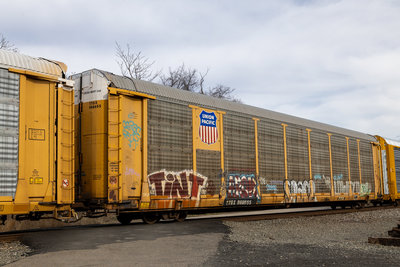 TTGX 988655