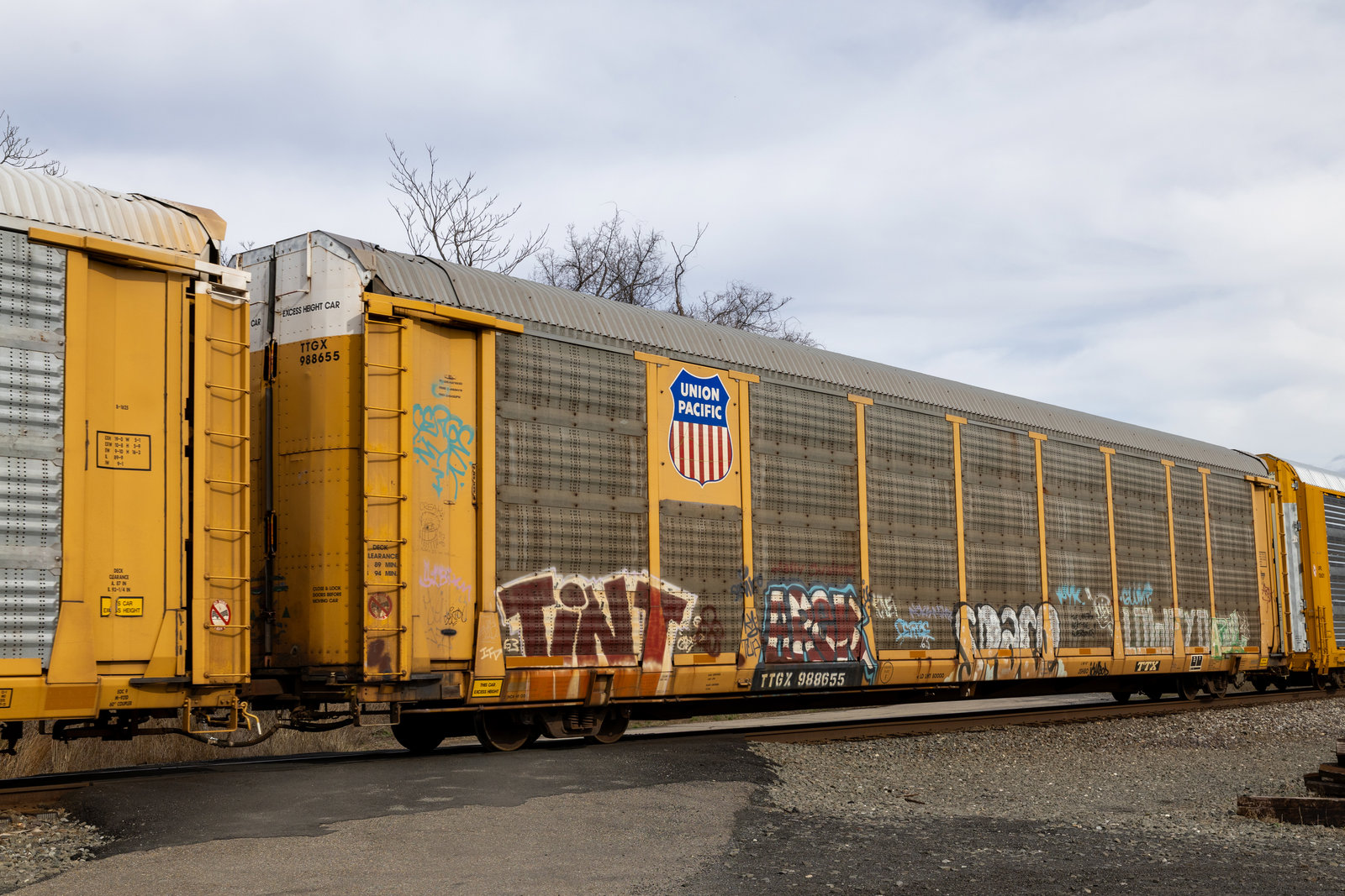 TTGX 988655