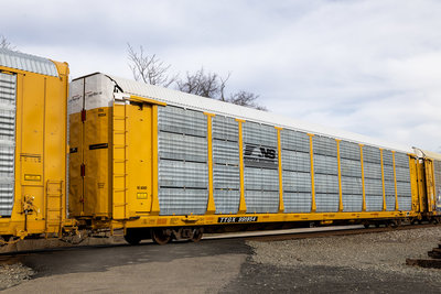TTGX 991854