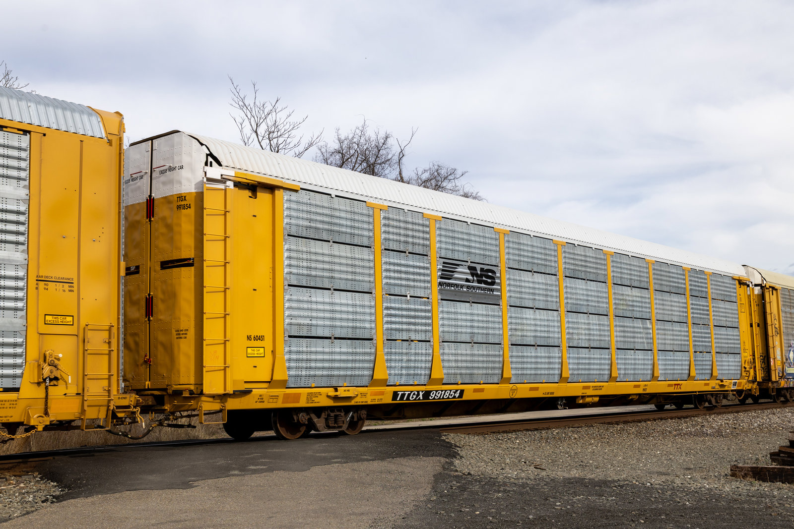TTGX 991854