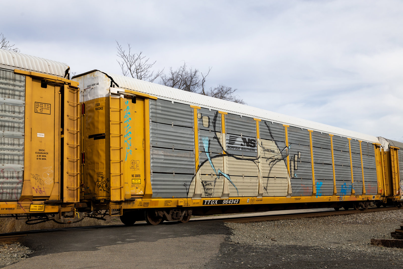 TTGX 964343