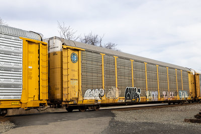 TTGX 989118