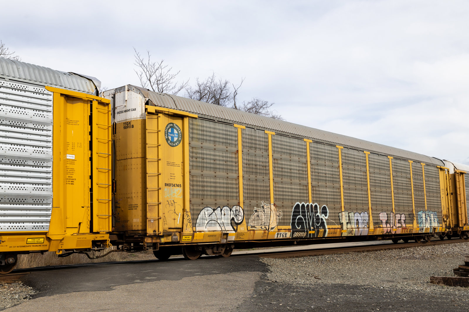 TTGX 989118