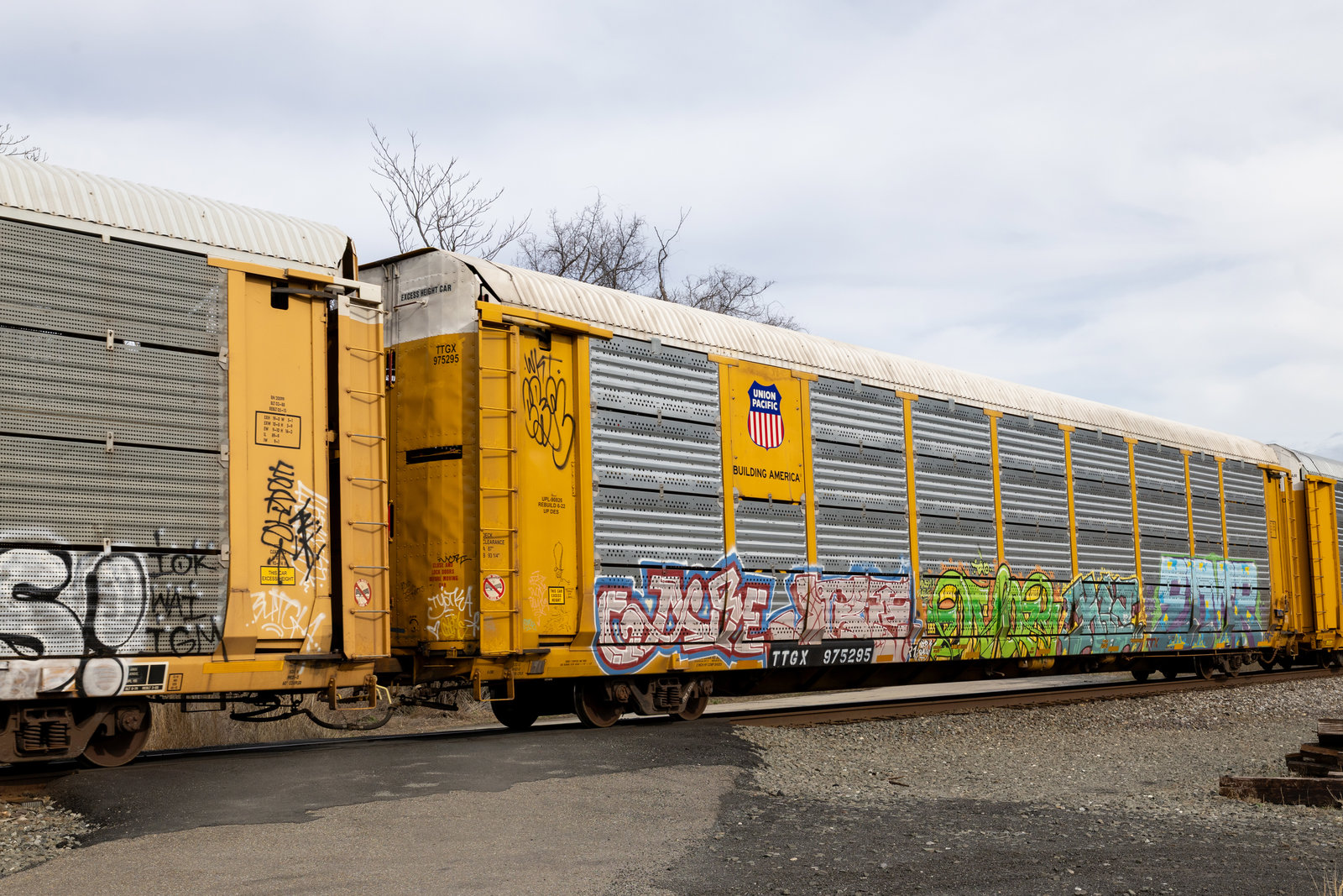 TTGX 975295