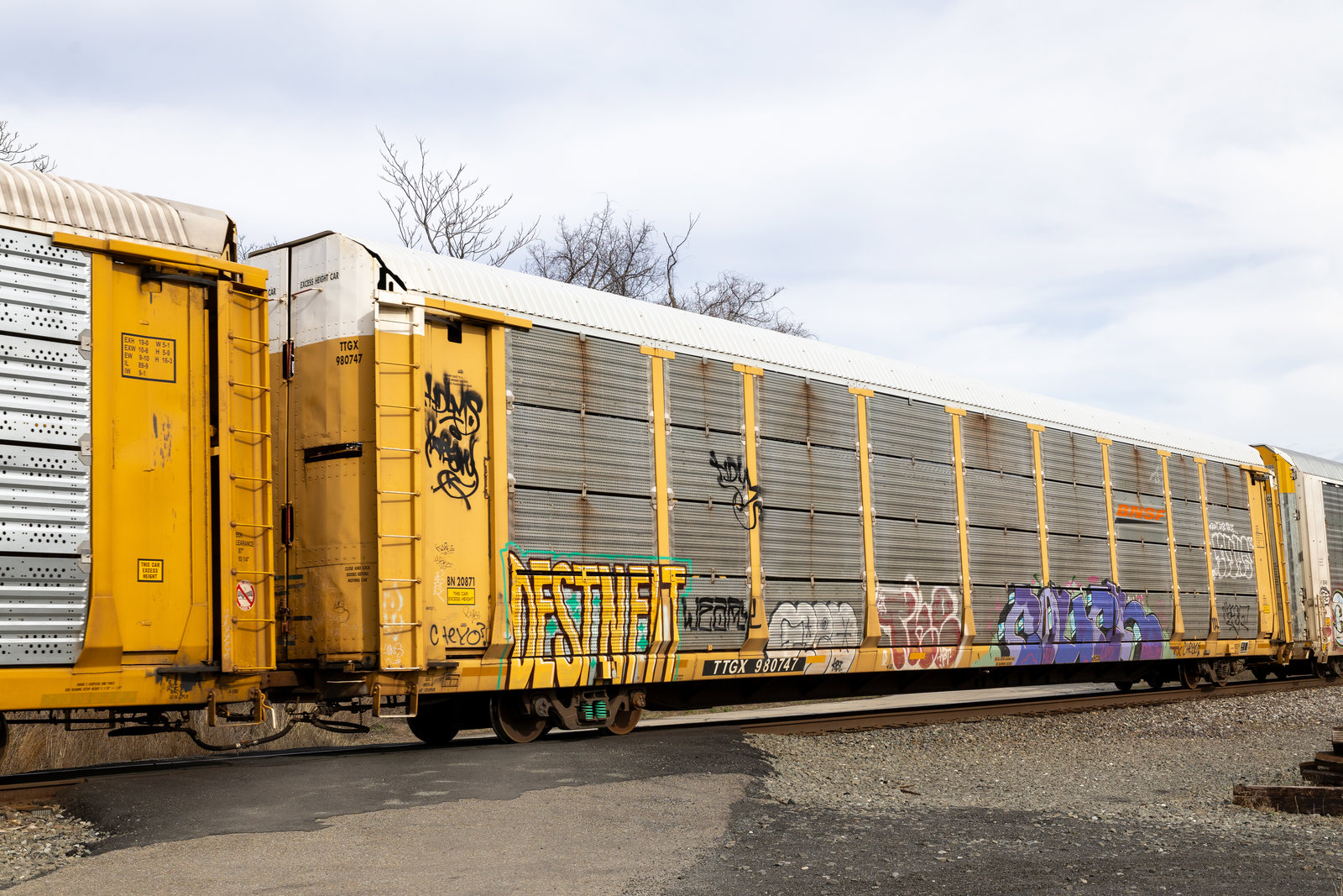 TTGX 980747