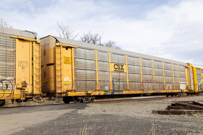 TTGX 990499
