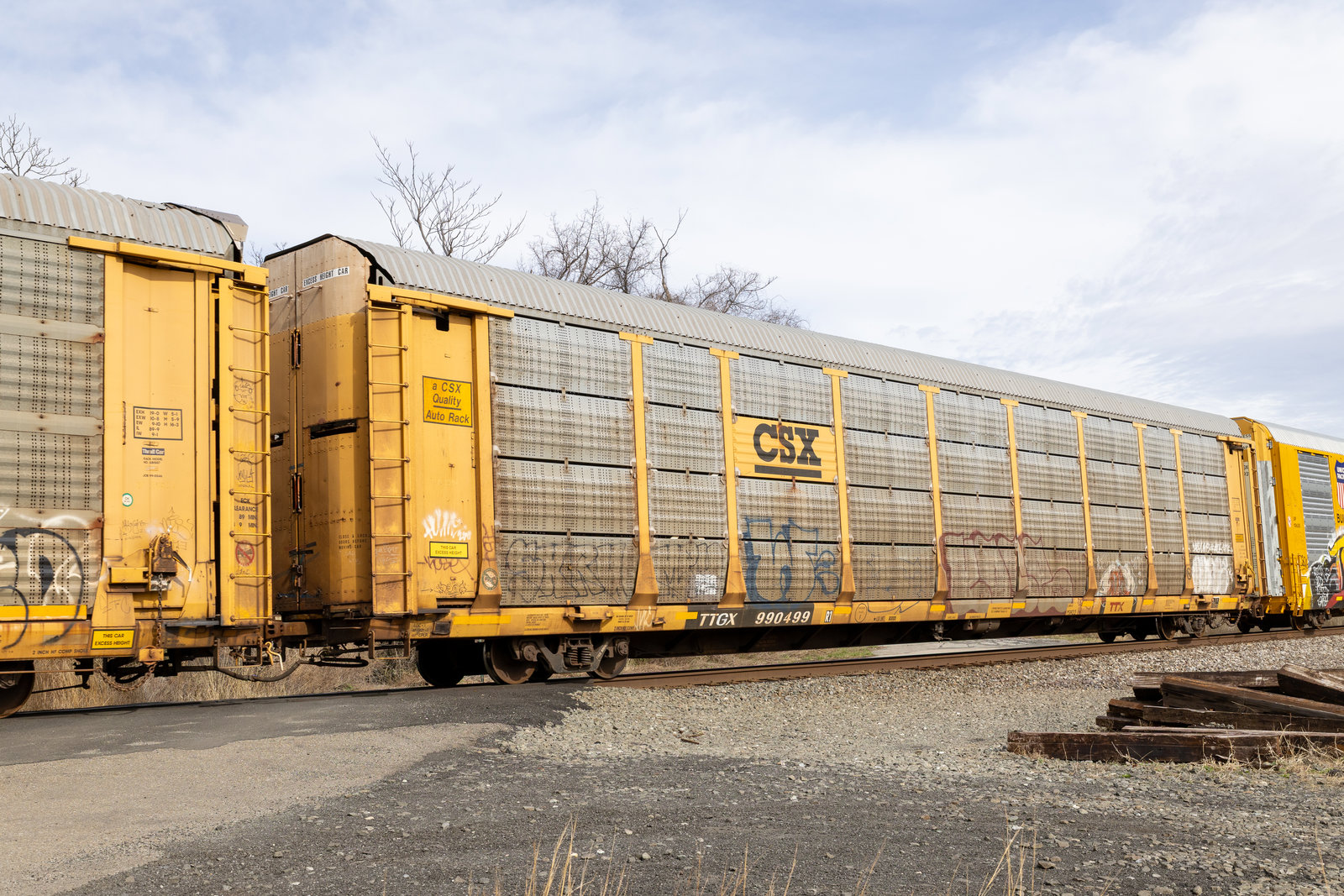 TTGX 990499