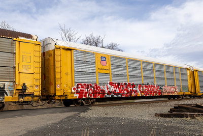TTGX 983405