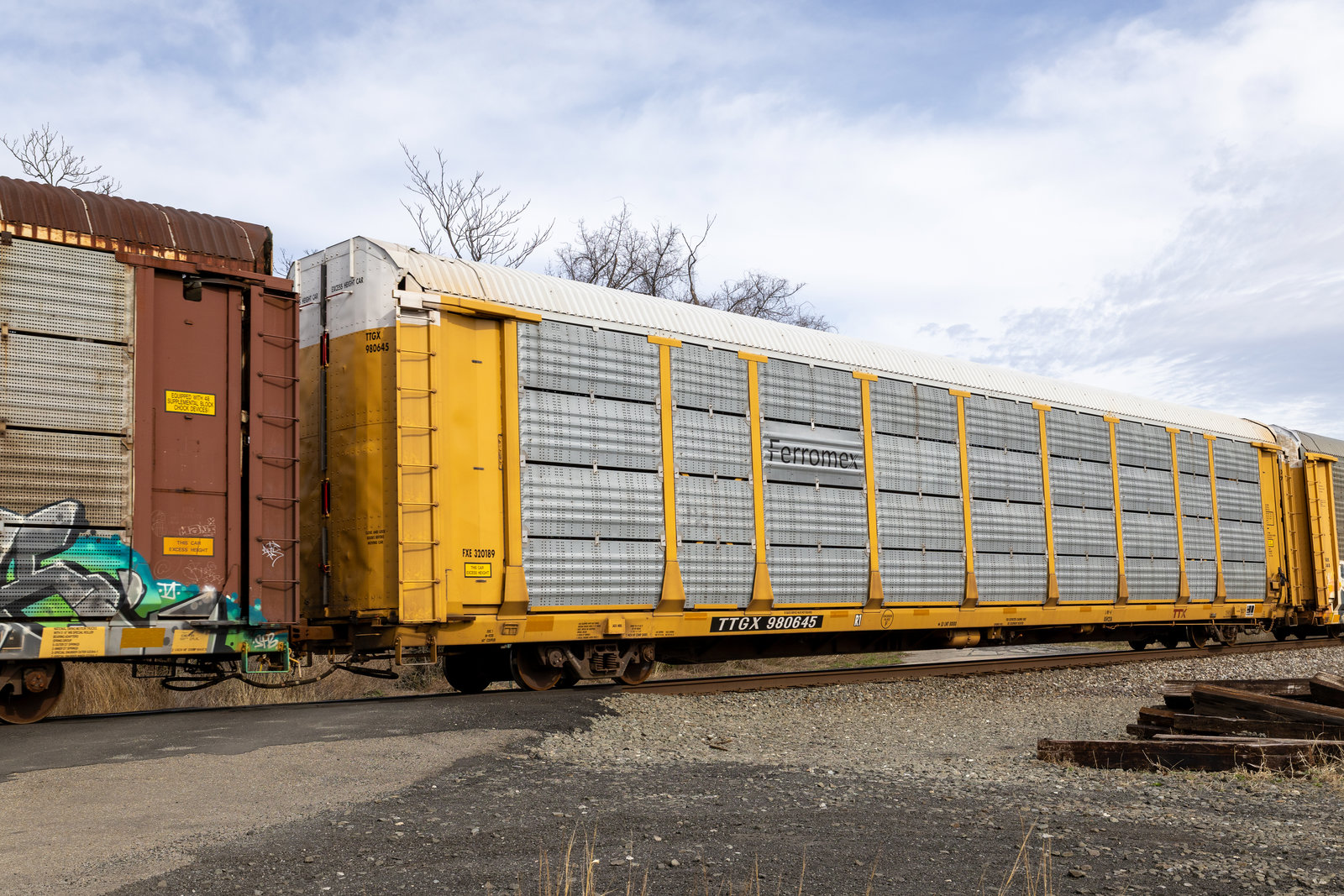TTGX 980645