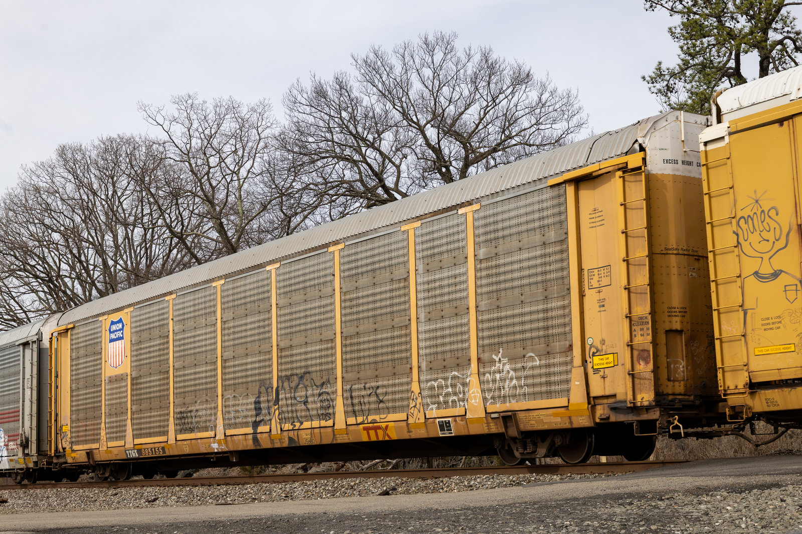 TTGX 985155