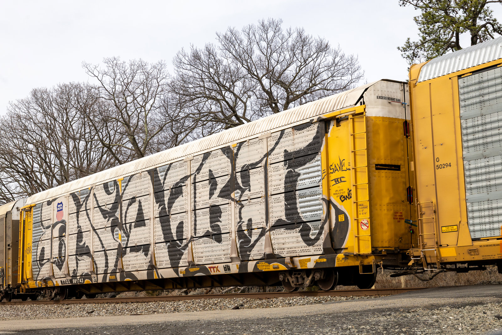 TTGX 981743