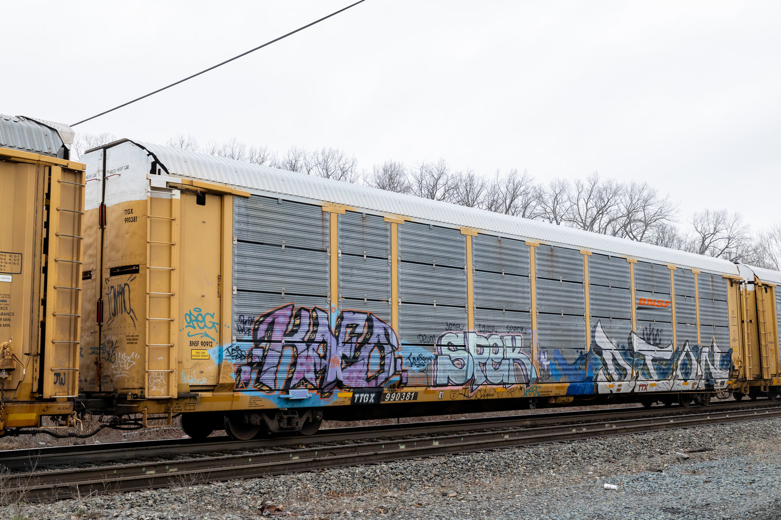 TTGX 990381