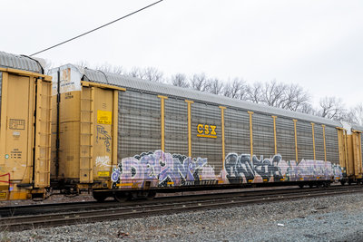 TTGX 987519