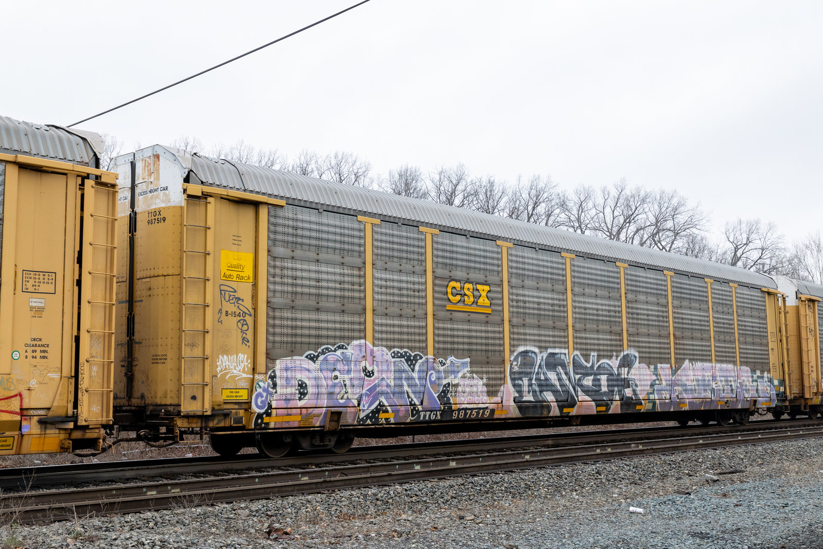 TTGX 987519