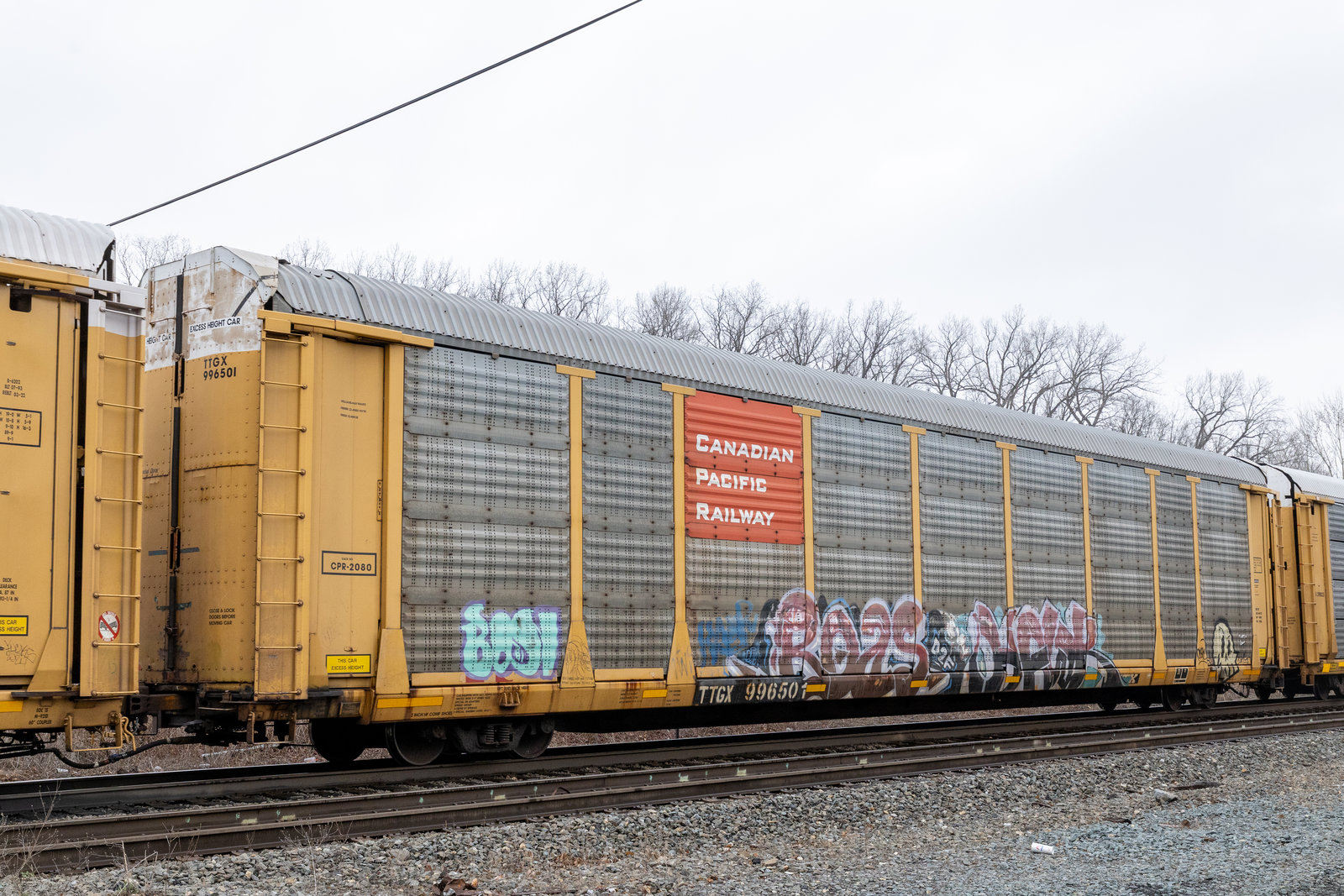 TTGX 996501