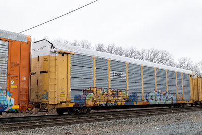 TTGX 964475